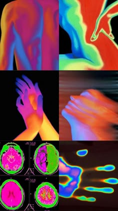 multiple images of different human body parts and colors