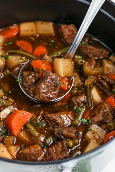 a ladle full of beef stew with carrots and celery