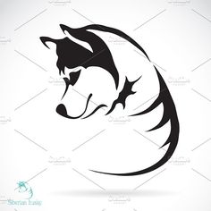 an animal's head in the form of a wolf on a white background, suitable for