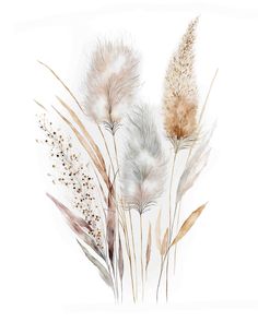 some white and brown plants on a white background with watercolor paint effect in the foreground