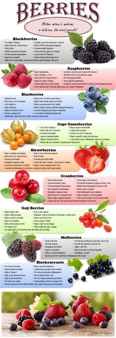 The Benefits of Berries Gooseberry Benefits, Berries Benefits, Goji Berries Benefits, Inflammation Remedies, Living Foods, English Knowledge, Keto Fruit