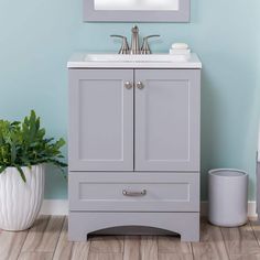 a bathroom vanity with a mirror above it and a potted plant next to it