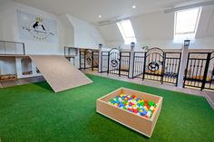 an indoor play area with lots of balls and toys on the grass in front of it