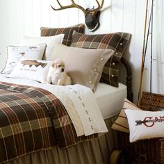 a dog sitting on top of a bed in a bedroom next to a deer head