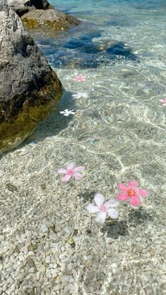 Beachy Summer Wallpaper, Hd Water Wallpaper, Summer Dream Wallpaper, Beach Waves Wallpaper Aesthetic, Summer Flower Wallpaper Iphone, Cartoon Beach Aesthetic, Beach Vibes Aesthetic Wallpaper, Aesthetic Background Summer, Wallpapers Beach Aesthetic