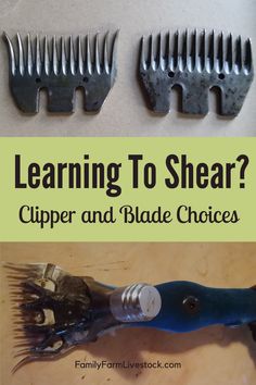 two different types of hair brushes with the words learning to shear? clipper and blade choices