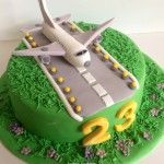 a cake that is shaped like an airplane