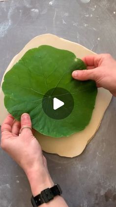 a person holding a leaf over a piece of paper on top of a countertop