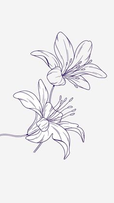 a drawing of two flowers on a white background