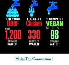 Ground Water, Vegan Animals, Water Conservation, Save Earth