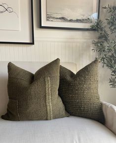 two pillows sitting on top of a white couch next to a potted plant and framed pictures