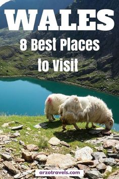 two sheep grazing on the side of a mountain with text overlay that reads wales 8 best places to visit