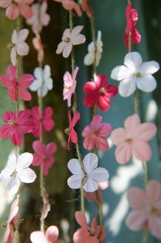 some pink and white flowers hanging from strings