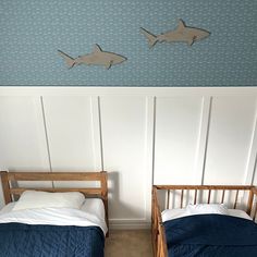 two beds in a room with shark wall decals on the walls and below them