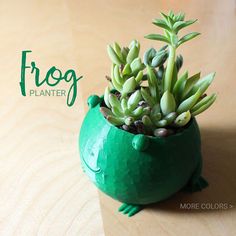 a small green potted plant sitting on top of a wooden table next to a sign that says frog planter