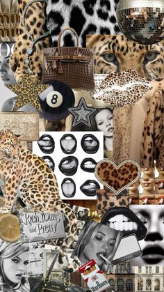 a collage of photos with leopards, hats and other things on it's surface