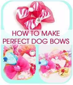 the instructions for how to make perfect dog bows are shown in three different pictures, with text overlay