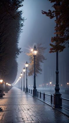 an empty sidewalk with street lamps and trees on it in the foggy night time