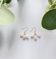 Embrace timeless sophistication with our Elegant Freshwater Pearl Drop Earrings, a perfect blend of classic charm and modern grace. These earrings feature lustrous freshwater pearls suspended from delicate gold accents, creating an ethereal dangle that dances with your every movement. Crafted with care, each pearl is selected for its radiant sheen and smooth surface, ensuring that your earrings not only look exquisite but also embody the highest quality. The gold accents provide a warm, luxuriou Classic White Drop Chandelier Earrings, Classic White Pearl Drop Chandelier Earrings, White Pearl Drop Dangle Cluster Earrings, White Pearl Drop Cluster Earrings, White Classic Drop Cluster Earrings, Classic White Cluster Drop Earrings, Classic White Dangle Bridal Earrings, Delicate White Hypoallergenic Bridal Earrings, Classic Dangle Cluster Earrings Gift