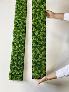 two people are placing plants on the wall