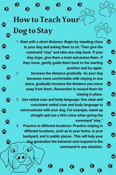 a blue poster with an image of a dog's paw and the words, how to teach your dog to stay