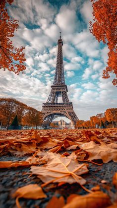 the eiffel tower is surrounded by autumn leaves