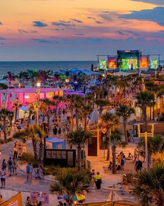 a crowd of people standing on top of a beach next to the ocean at sunset