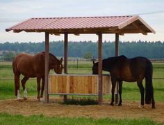 two horses are eating out of a trough