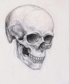 a drawing of a human skull with no lower jaw and one eye missing from it