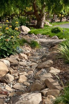 a garden with rocks and flowers in the foreground, along side a path that leads to a tree