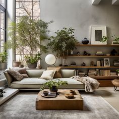 a living room filled with lots of furniture and plants on top of bookshelves