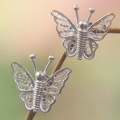 With gossamer wings of silver filigree these butterflies are an enchanting addition to any wardrobe. The sterling earrings are lovingly handcrafted by Kadek Widiani. .925 Sterling silver Butterfly Filigree Jewelry For Weddings, Butterfly Filigree Wedding Jewelry, Silver Butterfly Jewelry For Pierced Ears, Nickel-free Silver Butterfly Earrings, Nickel-free Butterfly Shaped Silver Earrings, Wedding Butterfly Filigree Jewelry, Silver Butterfly Filigree Jewelry, Silver Filigree Butterfly Jewelry, Handmade Silver Butterfly Earrings