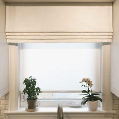 two potted plants sit on a window sill in front of a window with blinds