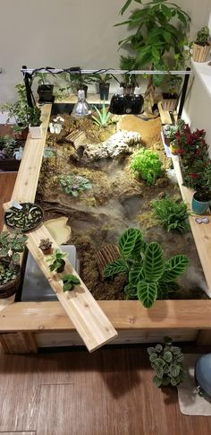 a wooden table topped with lots of plants