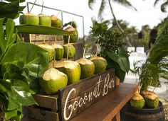 coconuts are on display in wooden crates at an outdoor market area with palm trees