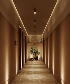 a long hallway with lights and a potted plant