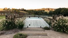 a wooden deck next to a pool surrounded by tall grass