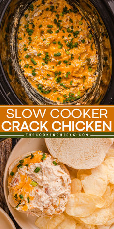 This Slow Cooker Crack Chicken is a tasty and delicious dish that you can't resist! This easy crockpot meal is a combination of shredded chicken, cream cheese, ranch seasoning, and bacon. It's a simple yet savory slow cooker dinner idea, bursting with flavor, that you will be wanting for more! Eating On A Dime, Chicken Shawarma Recipe, Chicken Casserole Recipe, Chicken Crockpot Recipes Easy, Crock Pots, Shredded Chicken Recipes, Chicken Slow Cooker Recipes, Best Chicken Recipes, Dinner Options