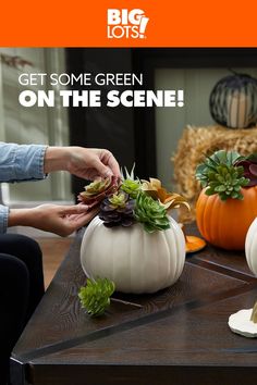 Are they fake? Faux sure! 100% kill-proof, that is. And 100% awesome for adding a little green even if your thumb isn’t! Pumpkins, You Can Do, Diy Projects, Canning, Green