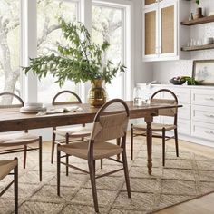 a dining room table with chairs and a potted plant in the middle of it