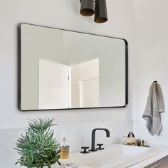 a bathroom sink with a mirror above it and a potted plant on the counter