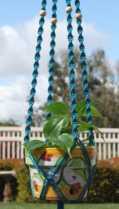 a potted plant hanging from a blue rope