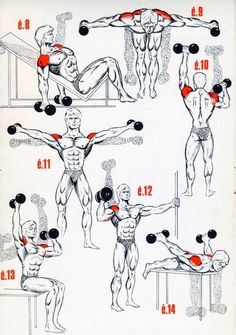 an old manual showing how to do the same exercises