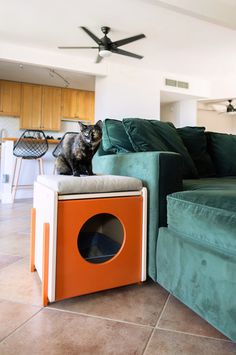 a cat sitting on top of a green couch next to a table with an orange box underneath it