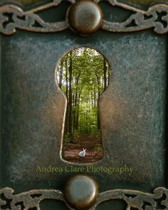 an open keyhole in the middle of a forest with a dog looking at it