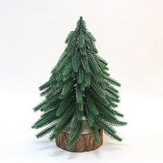 a small pine tree sitting on top of a wooden stump in front of a white background