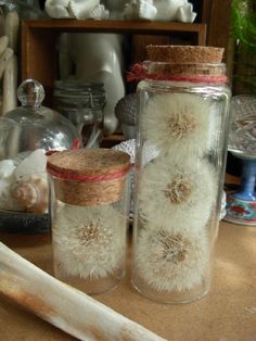 two glass jars filled with dandelions on top of a table