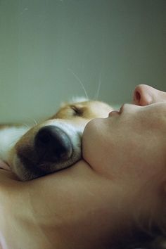 a dog is laying down with its head on a person's chest and the quote above it says, feeling, scratching and cuddling a dog could be as soothing