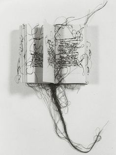 an open book with writing on the pages and tangled hair in front of it, against a white background