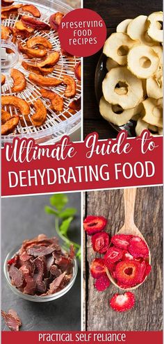 the ultimate guide to dehydrating food